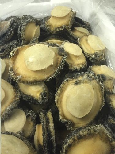 Abalone from 미국 supplied by Ocean Floor Inc. - Frozen 냉동 전복