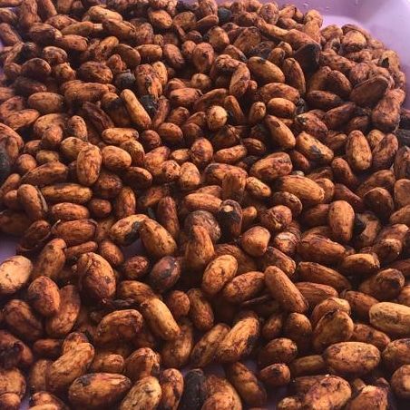 Cocoa beans from 나이지리아 supplied by MAX AND MAXIS GLOBAL SERVICE LIMITED. - Robust 코코아콩