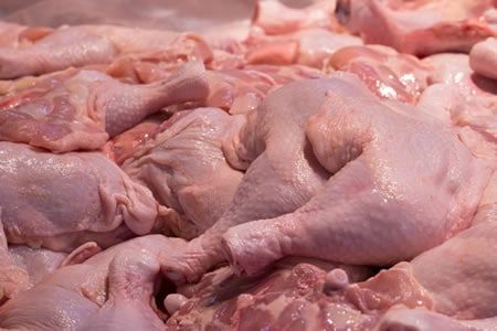 PORTIONED FROZEN CHICKEN from 나이지리아 supplied by DANDANI FARMS LTD - Frozen 냉동 닭고기 부위