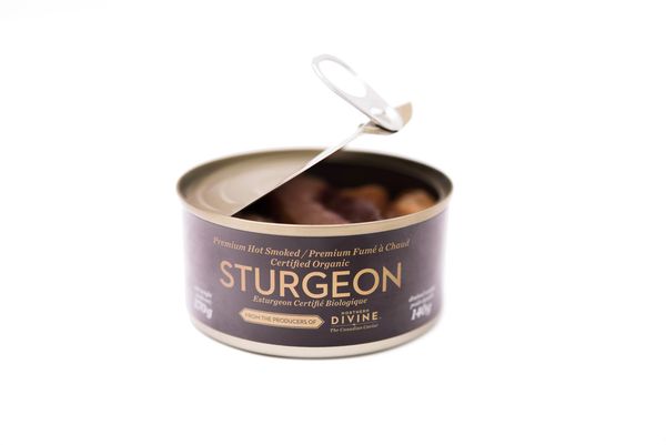 Sturgeon from 캐나다 supplied by Northern Divine Aquafarms Ltd. - Canned 신선 철갑상어