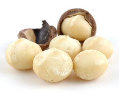 Macadamia from United States supplied by The Richard Franco Agency - Whole Kernel Macadamia Kernel