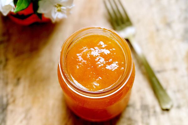 Apricot Puree Concentrate from China supplied by Tianjin B&R International Trade Co.,Ltd - Puree Value Added Apricot