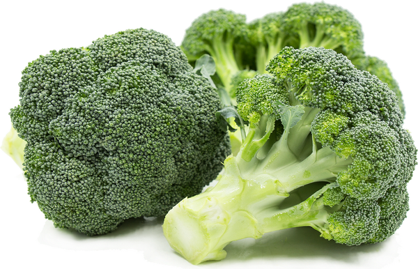 Broccoli from United States supplied by J.A.B Produce Company - Whole Fresh Headed Broccoli