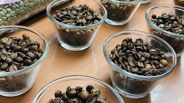 Coffee Bean from Brazil supplied by MOUNTAIN COFFEE LTD. - Wet Process (=Wet-milled) Raw Common Coffee Bean