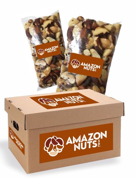 Brazil Nut from 페루 supplied by AMAZON NUTS S.A.C. - Unspecified 브라질너트 알맹이