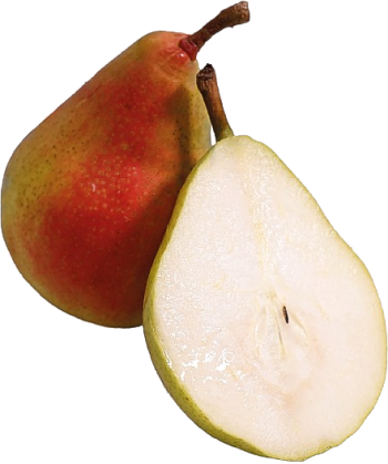 Morettini Pear from Portugal supplied by Coopval - Cooperativa Agrícola dos Fruticultores do Cadaval, CRL. - Moretini Fresh Pear