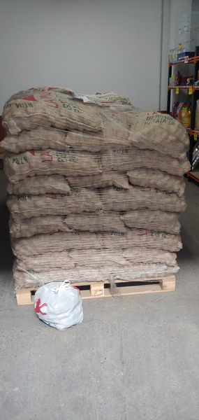 Potato Seeds from 스페인 supplied by Leonesa Astur De Piensos-lesa SA - Farm 씨감자