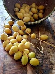 Date from Pakistan supplied by LIAN AUK CORPORATION - Begum Jangi Fresh Date