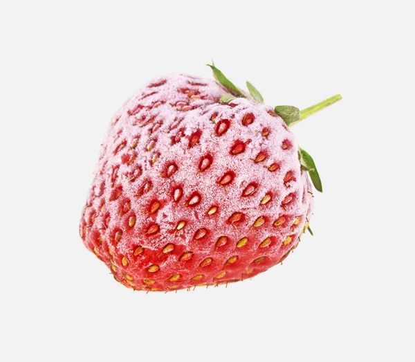 Strawberry from 독일 supplied by Paradise Fruits - Whole 냉동 딸기