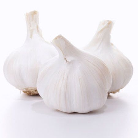 garlic from 말레이시아 supplied by ASY Enterprise - 흰마늘 신선 마늘