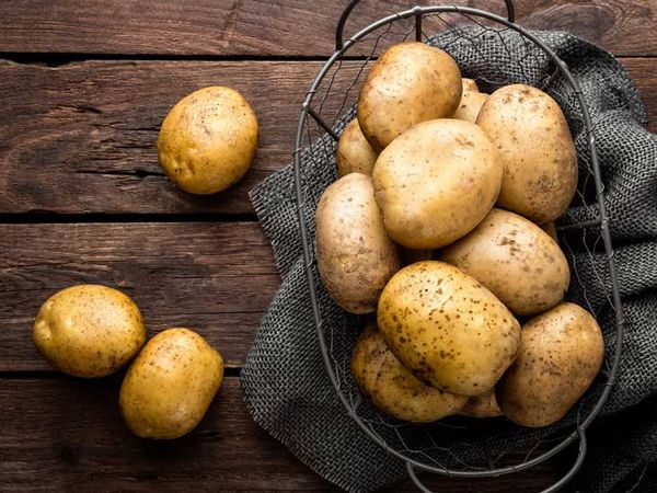 Potato from 튀르키예 supplied by Meypal - Washed 신선 일반 감자