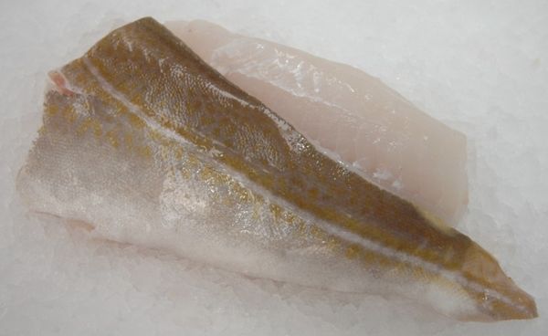 Haddock from United Kingdom supplied by The Hull Fish Company Ltd - Fresh (=Chilled=Raw) Fresh Haddock