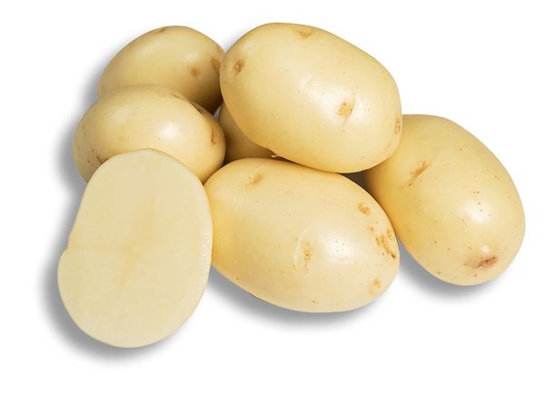 Potato from 호주 supplied by SA Potato Co - White 신선 일반 감자