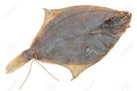 Dried Flounder from 아이슬란드 supplied by Haustak - Dried 냉동 도다리
