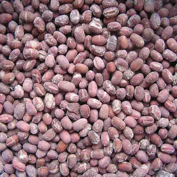 Frozen Kidney Beans from 미국 supplied by PARIS FOODS - 원물 말린 강낭콩