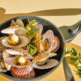 Live Scallop from 대한민국 supplied by DAEIL FISHERIES Co., Ltd. - Whole (=In Shell=Unshucked) 냉동 가리비
