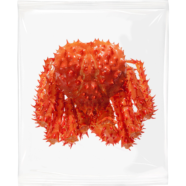 Raw Spider Crab from Chile supplied by INMUEBLES CATALUNA LIMITADA - Spider Frozen Crab