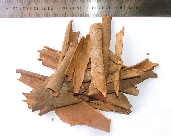 Cinnamon from 이집트 supplied by LAND SPICES CO - Grade A 시나몬