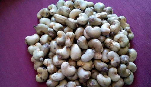 Raw Cashew Nut from Tanzania supplied by Matumika Company Limited - Tanzanian Type Raw Cashew Nut