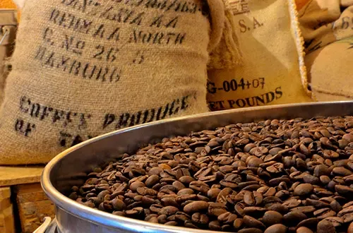 Coffee from 브라질 supplied by Coccamp - Comercio e Exportacao de Cafe Ltda. - Conventional 생원두