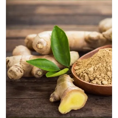 Ginger from 튀르키예 supplied by Hekimhan Herbal Company - Whole 통생강