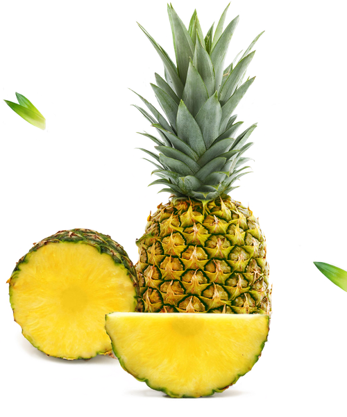 Pineapple from 코스타리카 supplied by Grupo Acón - 골든 파인애플 신선 파인애플