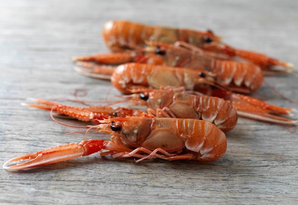 Fresh Langoustine from 영국 supplied by Whitelink Seafoods Ltd - Whole 신선 랍스터