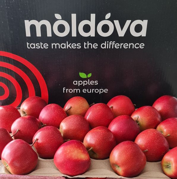 Fresh Apple from 몰도바 supplied by Prodcar SRL - Red 신선 사과