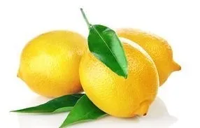 Fresh Eureka Lemon from 튀니지 supplied by GLOBALFRESH - Eureka 신선 레몬