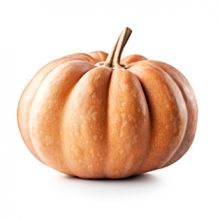Pumpkin from Portugal supplied by Santos & Pereira Lda. - Whole Fresh Common Pumpkin