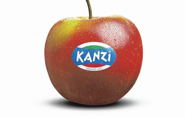 Apple from Netherlands supplied by Direct Fruit Services - Maribelle (=Lola) Fresh Apple
