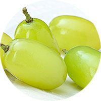 Sugar Crisp from 스페인 supplied by NOVELCOOP - Green (=Unripe=Sour) 신선 포도