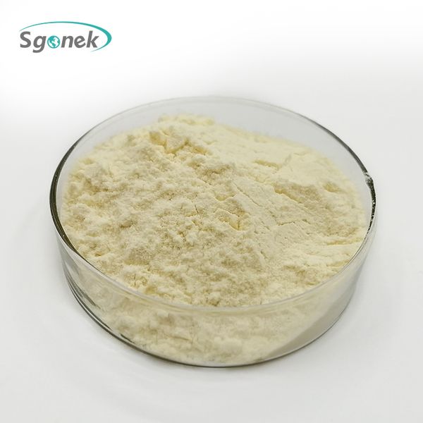 Almond flour from 중국 supplied by Xi'an Sgonek Biological Technology Co., Ltd. - Organic 아몬드 가루