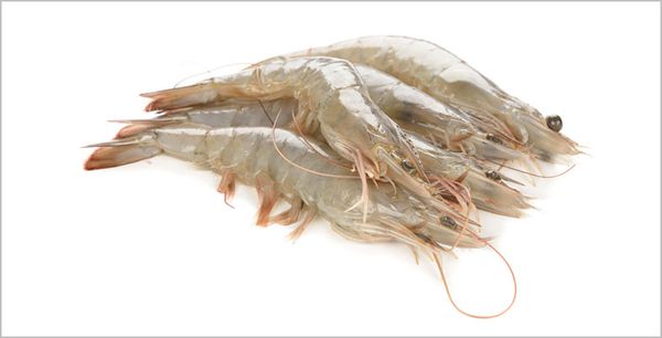 Frozen Shrimp and Prawn from 방글라데시 supplied by Organic Shrimp - Shell On (=Unpeeled) 냉동 새우