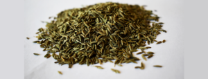 Cumin Seed from 이란 supplied by M.Tabatabai Trdg. - Whole 커민 씨