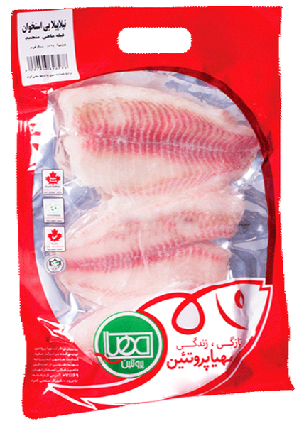 Frozen Tilapia Fillet from Iran supplied by Mahya Protein - Frozen Frozen Tilapia Fillet