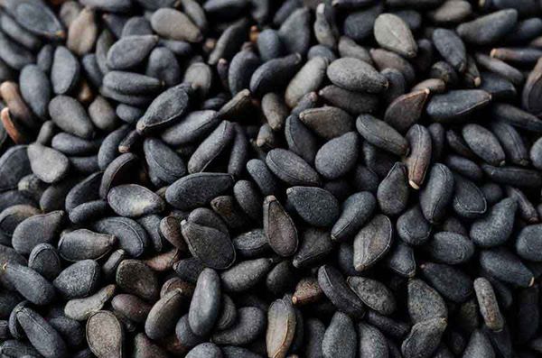 Sesame Seeds from 미얀마 [버마] supplied by Vitagrain Pte Ltd - Dehulled (=Dehusked) 참깨