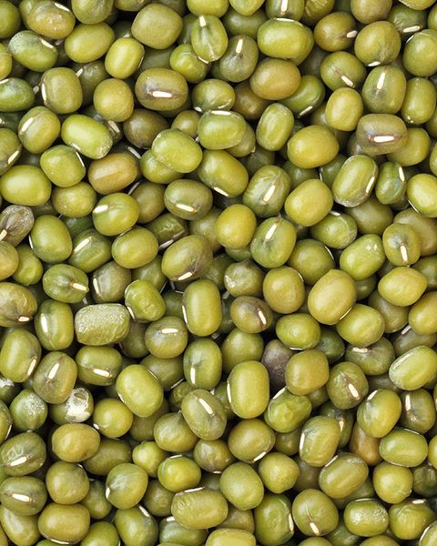 Green Mung Bean from 미얀마 [버마] supplied by Vitagrain Pte Ltd - Kayan Shwe Wah 말린 녹두