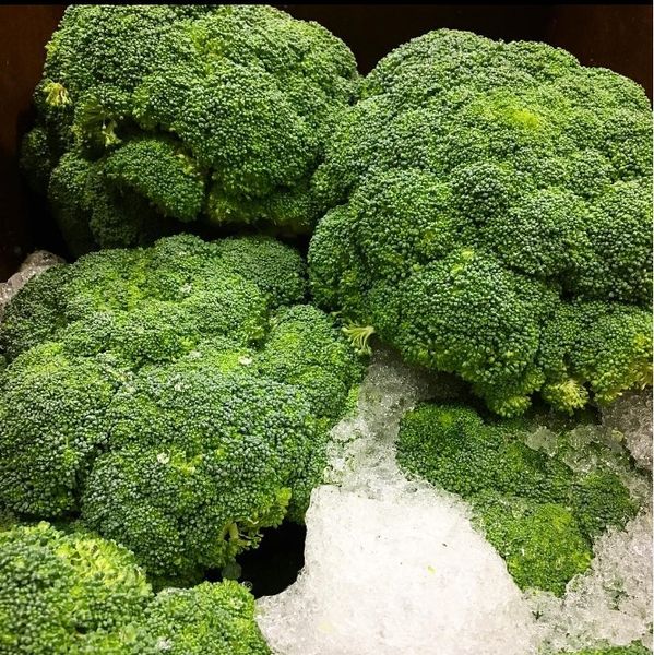 Broccoli from United States supplied by NORTH AMERICAN PRODUCE CO. - Whole Fresh Headed Broccoli