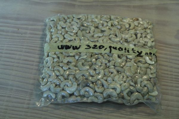 Raw Shelled Cashew Nuts from Burkina Faso supplied by B4Trees ApS - Kernel Raw Cashew Nut