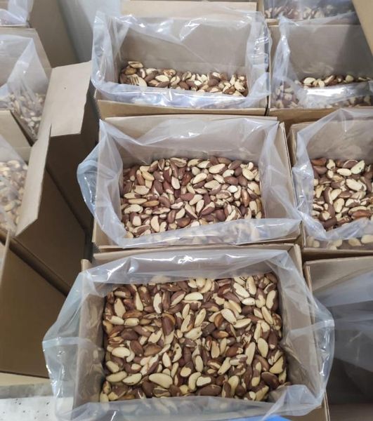 BRAZIL NUTS from 페루 supplied by AMAZONIAN´S SUPER FOODS CORPORATION S.A.C. - CSA CORP - Vacuum Packed (=VAC) 브라질너트 알맹이