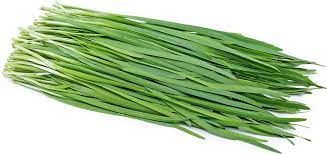 Chives from 프랑스 supplied by FILS DE MARIUS AUDA - Fresh (=Chilled) 쪽파