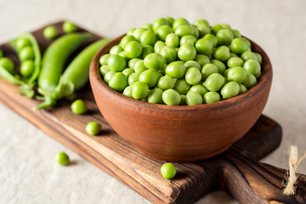 Green Bean from 베트남 supplied by Agri Viet Company Limited - Green 말린 일반 콩