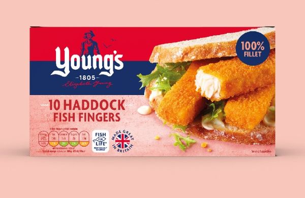 Pre-cooked Haddock from United Kingdom supplied by Young's Seafood Limited - Fillet Frozen Haddock