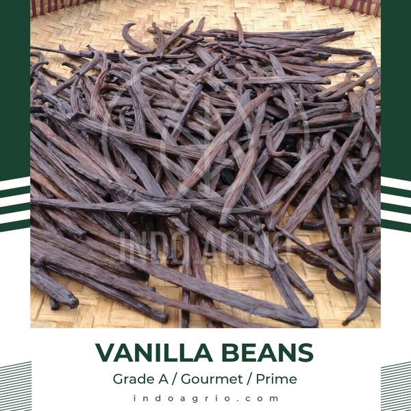 Vanilla Beans / Vanilla Pods - Vanilla Planifolia from Indonesia supplied by PT Agro Bumi Universal - Dried Vanilla