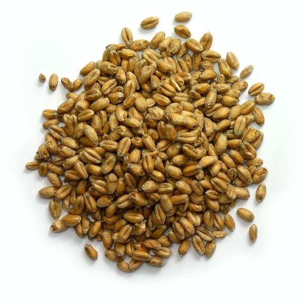 Wheat Malt from 영국 supplied by Warminster Maltings Limited - Conventional 밀엿기름