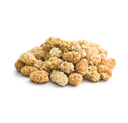 Dried Mulberry from 튀르키예 supplied by Sante Gida - Dried 말린 오디