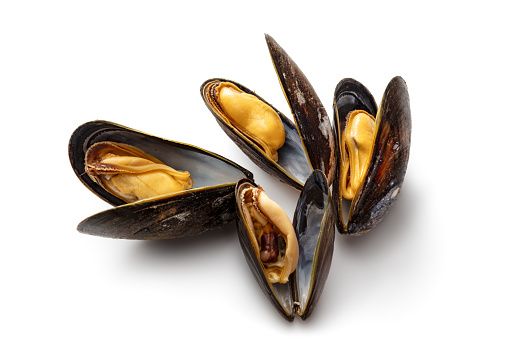 Mussels from Ireland supplied by Daly's Seafoods - Frozen Frozen Mussel