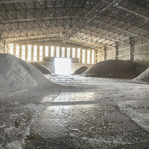 Raw Cotton Seed from 그리스 supplied by KARAGIORGOU, N., BROS SA - Raw (=Natural) 목화 씨