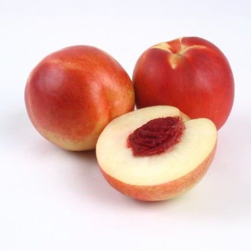 Nectarin from 칠레 supplied by Sociedad Agricola y Comercial Green Agro LTDA - Carton Box (=Cardboard Box) 신선 천도복숭아